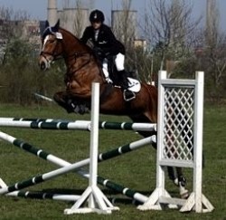 Springen