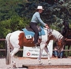 Westernreiten